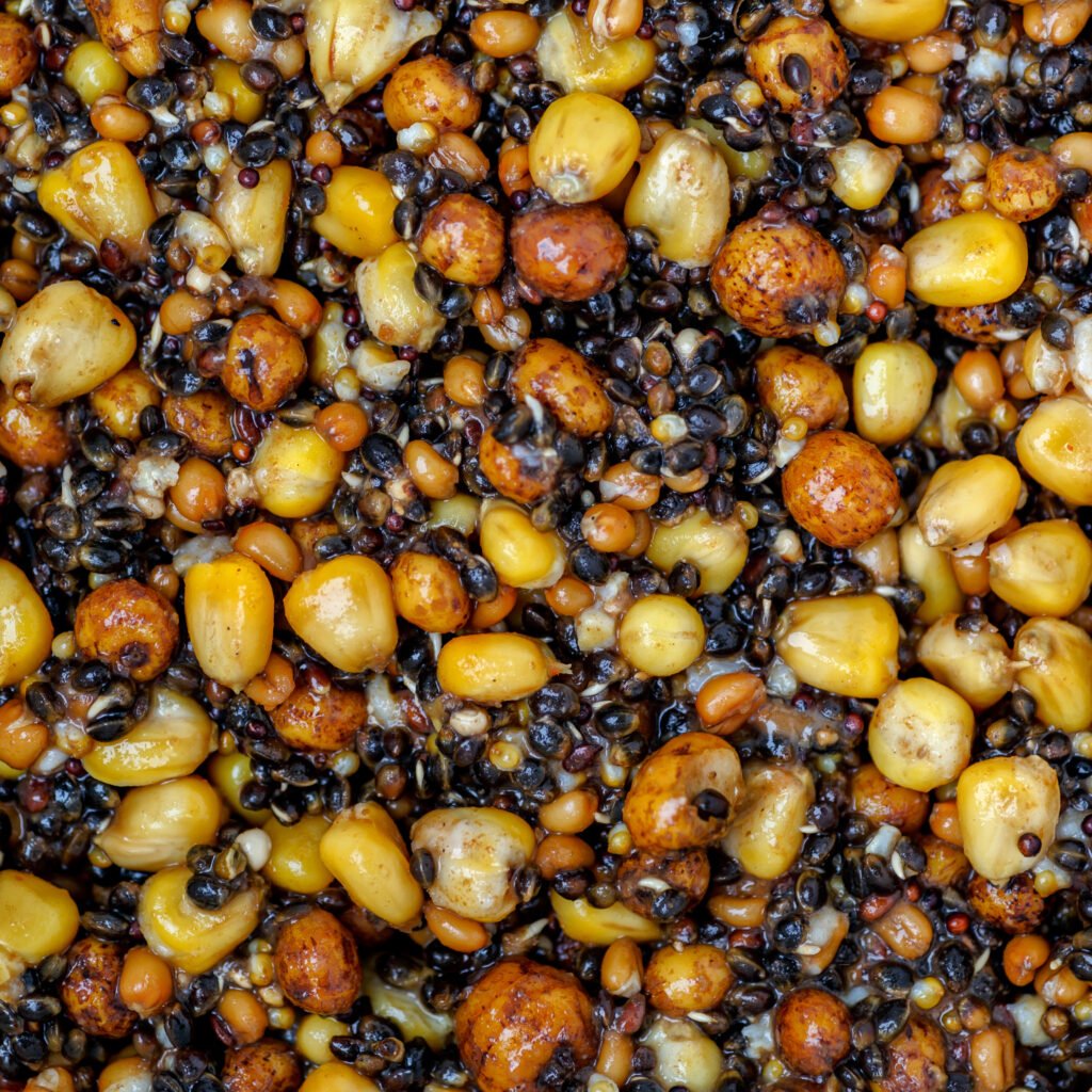 Particles for carp fishing guide showing prepared corn, hemp, tiger nuts, and mixed particles 