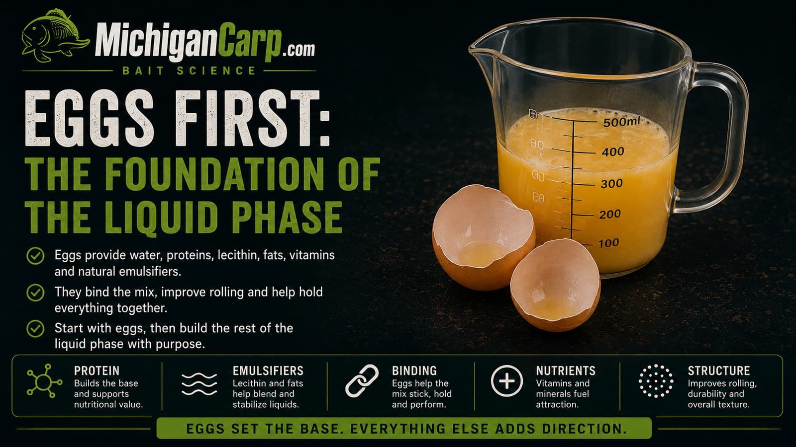 Eggs first boilie liquid phase infographic showing beaten eggs, eggshells, binding, protein, emulsification, nutrients and boilie structure.