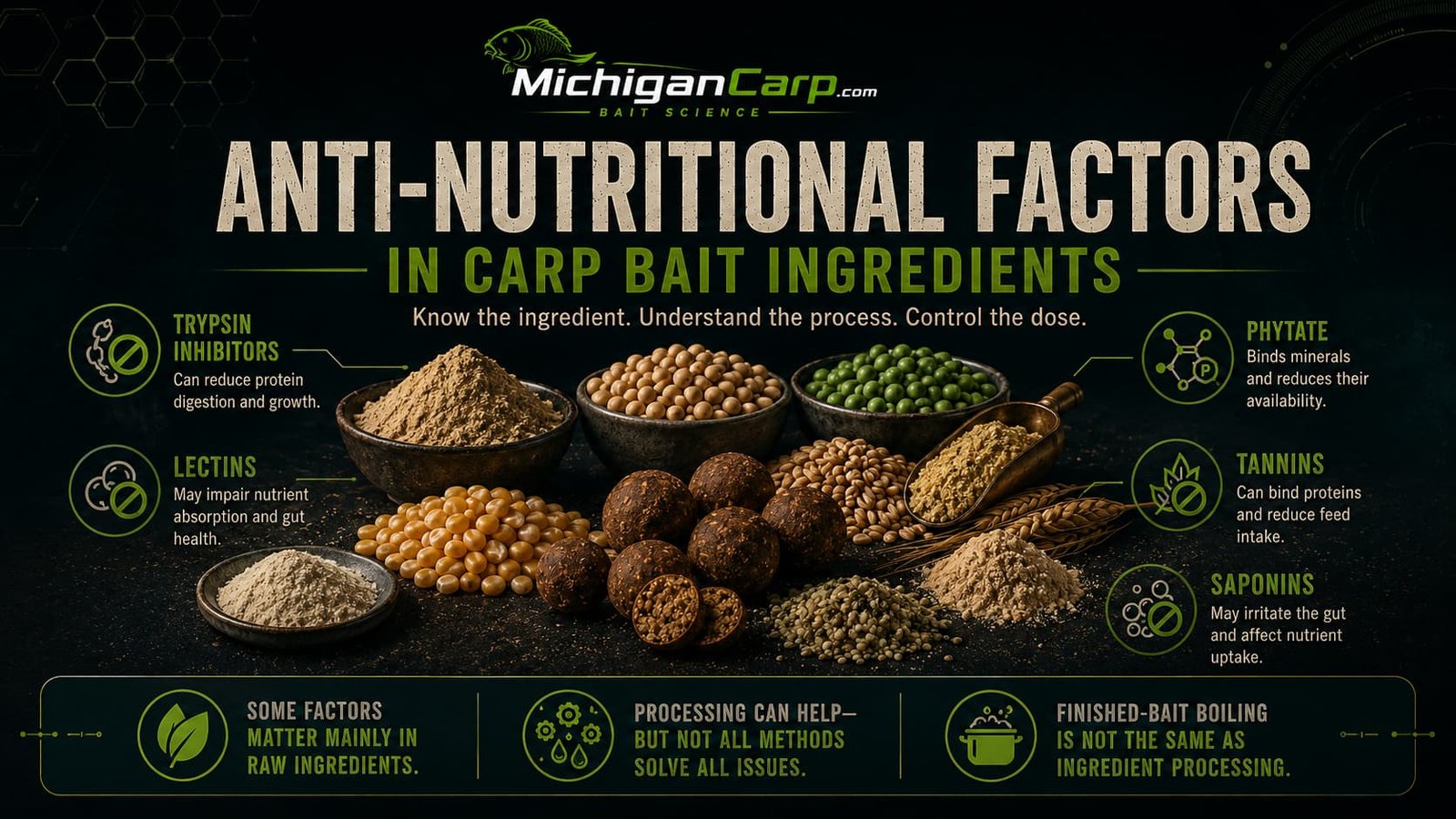 Anti nutritional factors in carp bait showing soy, legumes, grains, seeds, phytate, trypsin inhibitors, lectins, tannins and ingredient processing decisions.