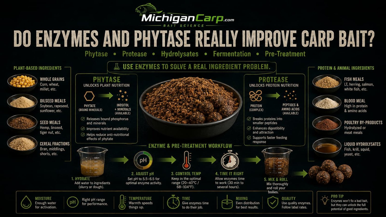 Alt text: Enzymes in carp bait showing phytase, protease, hydrolysates, fermentation, pre-treatment, plant ingredients and controlled bait processing.