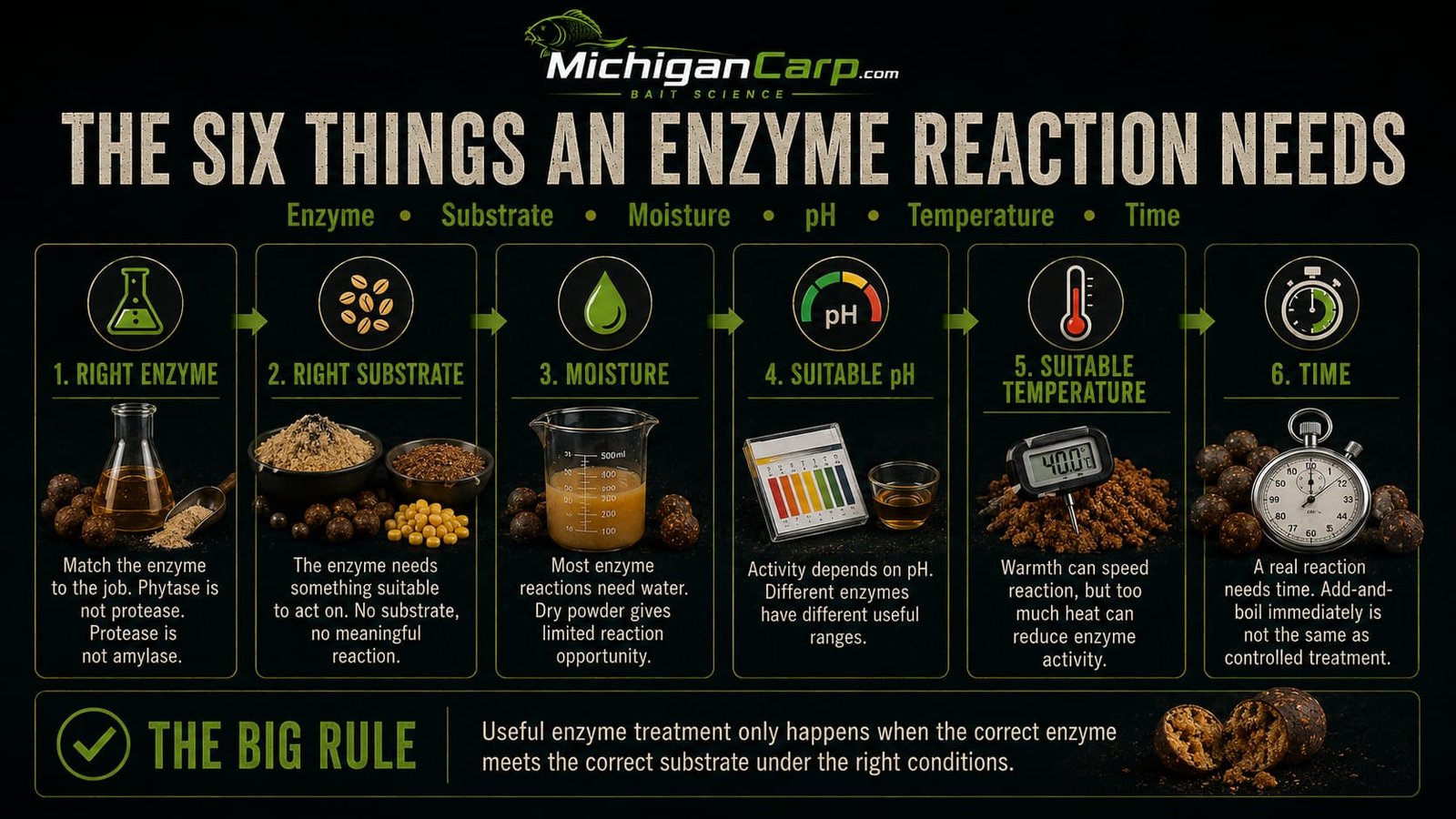 Six things an enzyme reaction needs in carp bait showing enzyme, substrate, moisture, suitable pH, suitable temperature and reaction time.