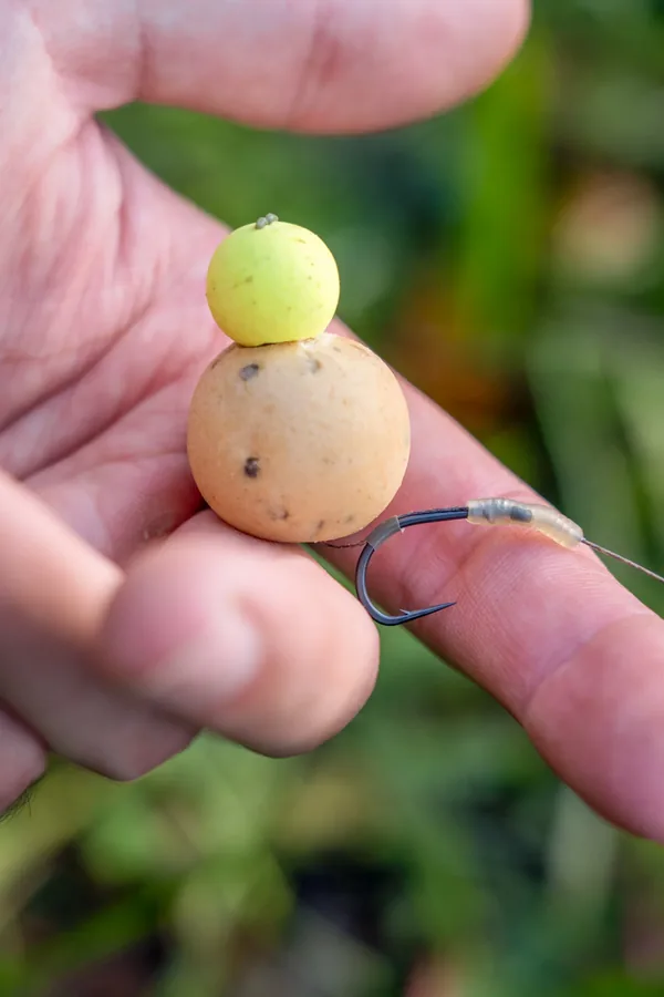 Snowman rig hookbait — bottom bait boilie with a yellow pop-up topper on a hair rig beside the hook.