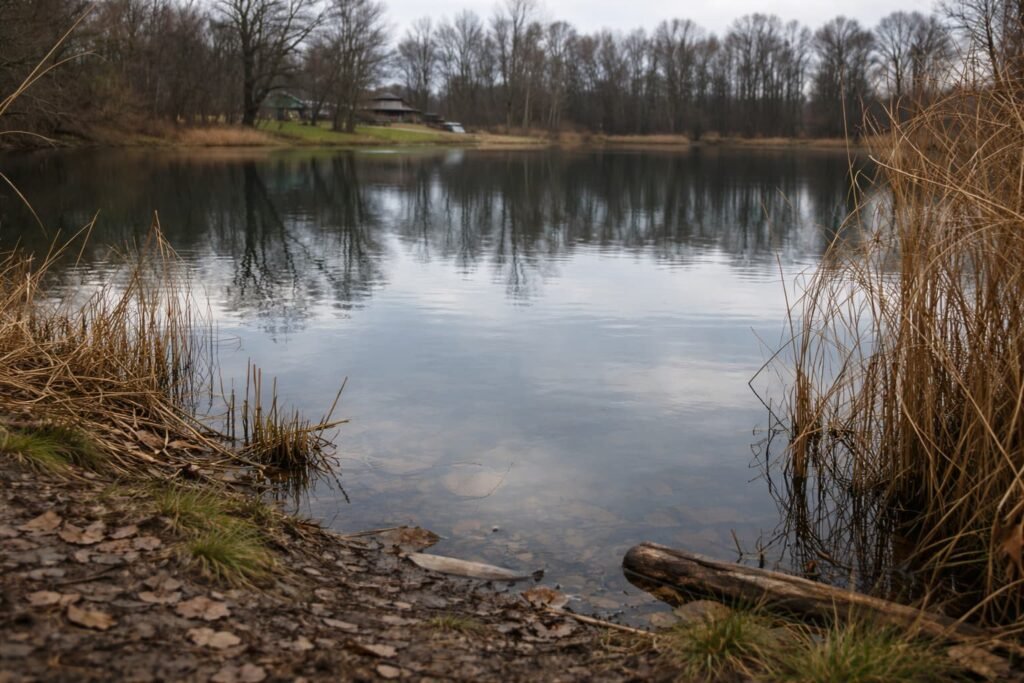 Calm Michigan lake margin in cold water conditions.