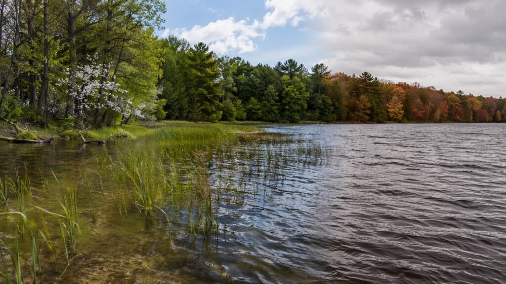 Michigan lake in different seasonal phases, illustrating how carp movement changes through the year.
