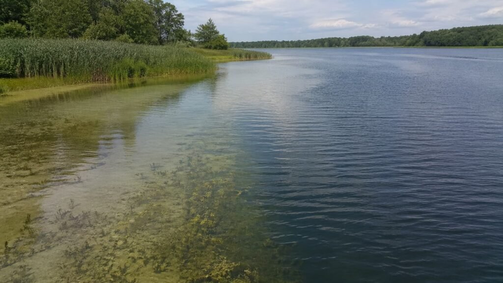 Michigan lake scene showing natural holding, movement, and feeding zones for carp.