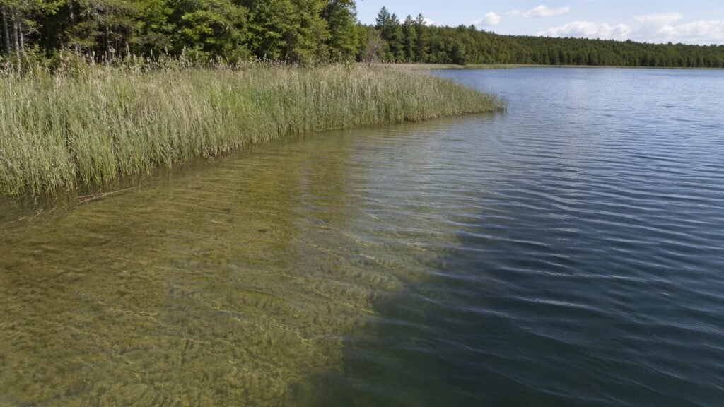 Michigan lake margin showing reeds, a shallow shelf, open water, and nearby darker route water.