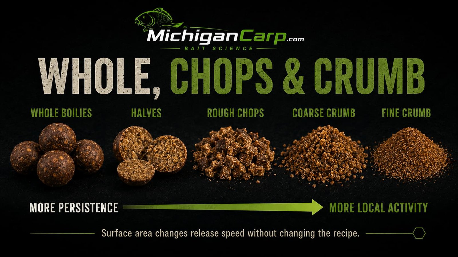 Whole boilies, chopped boilies and crumb tested side by side in equal water volumes to compare surface area, particle release and physical persistence.