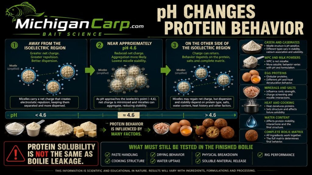 pH changes protein behavior in boilies showing casein aggregation near its isoelectric region and the effects of whey protein, egg, minerals, heat, water content and the complete bait matrix
