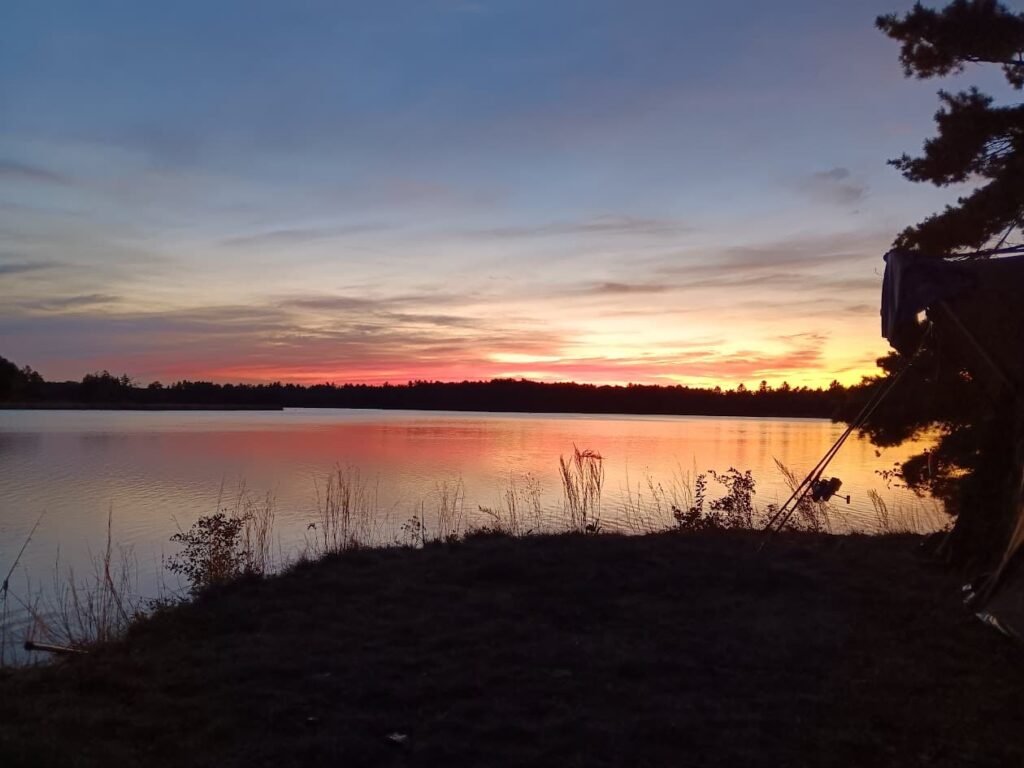 Best carp bait for night fishing prepared beside rods on a Michigan lake at dusk.