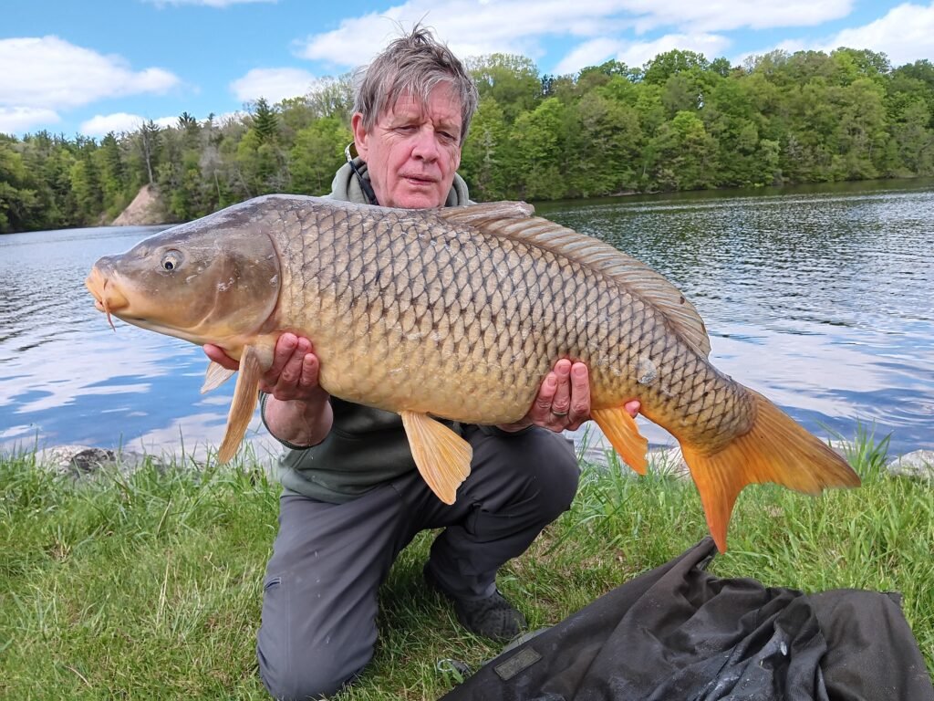 spring common carp 2026