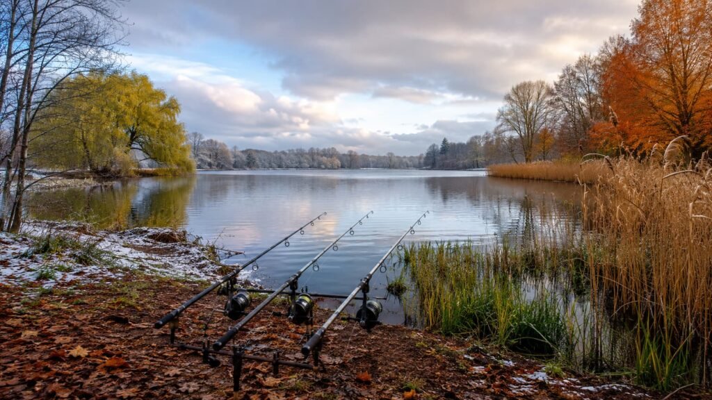 Michigan carp fishing seasons showing a lakeside bank setup with seasonal water and vegetation changes