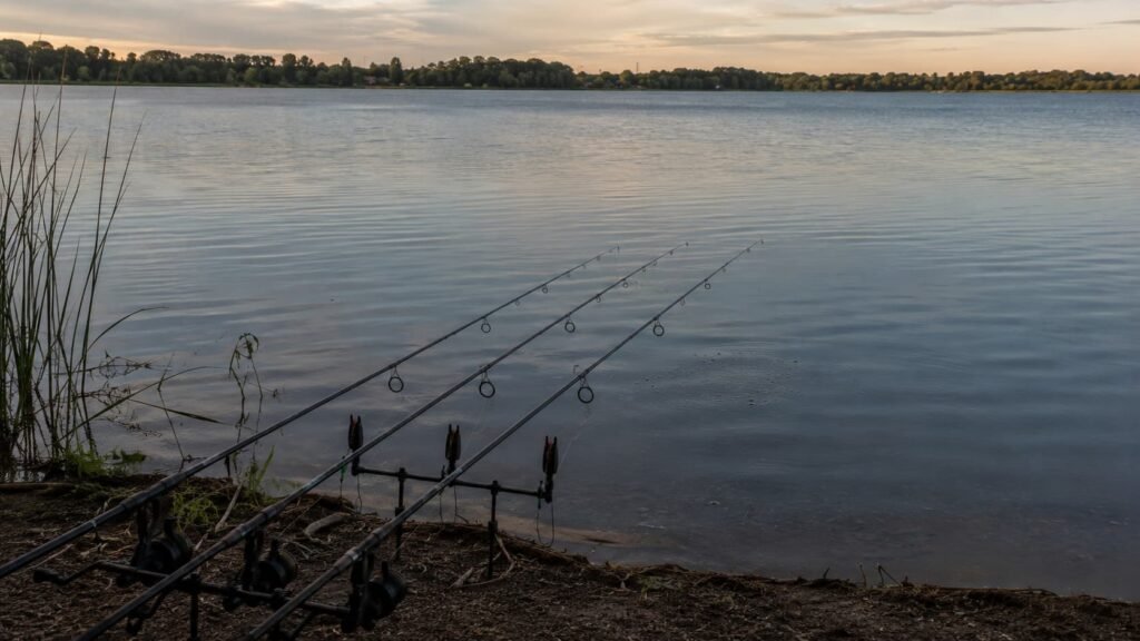 Bubbles over a baited spot during a short carp feeding window.