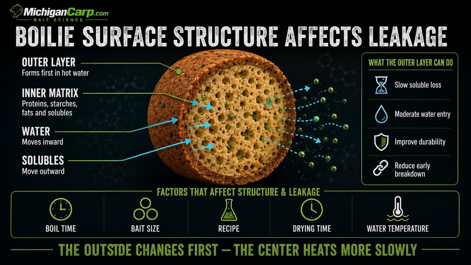 Milk protein boilie skin and leakage diagram showing outer skin internal bait matrix solubles water movement and leakage after boiling