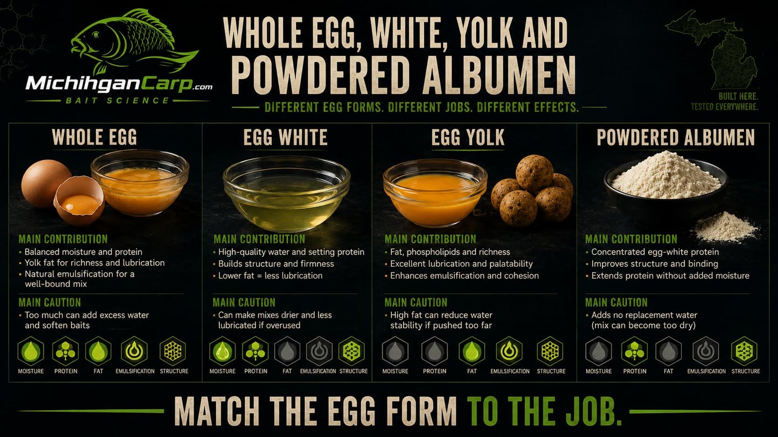 Whole egg, egg white, egg yolk and powdered albumen comparison for boilie moisture, protein, fat, emulsification and structure.