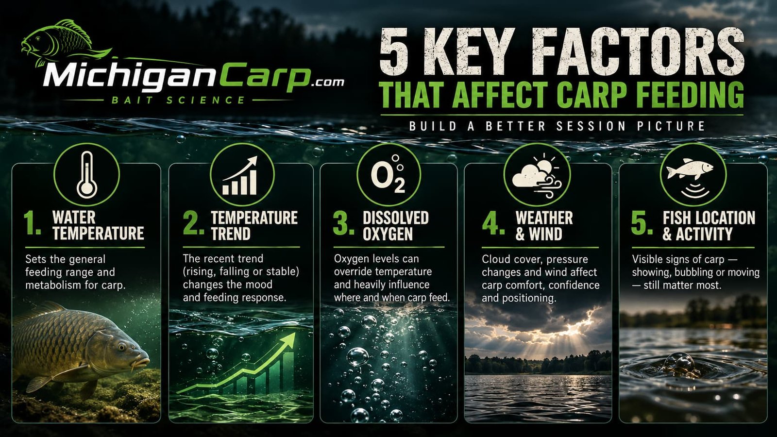Five factors affecting carp feeding including water temperature temperature trends dissolved oxygen weather and fish location