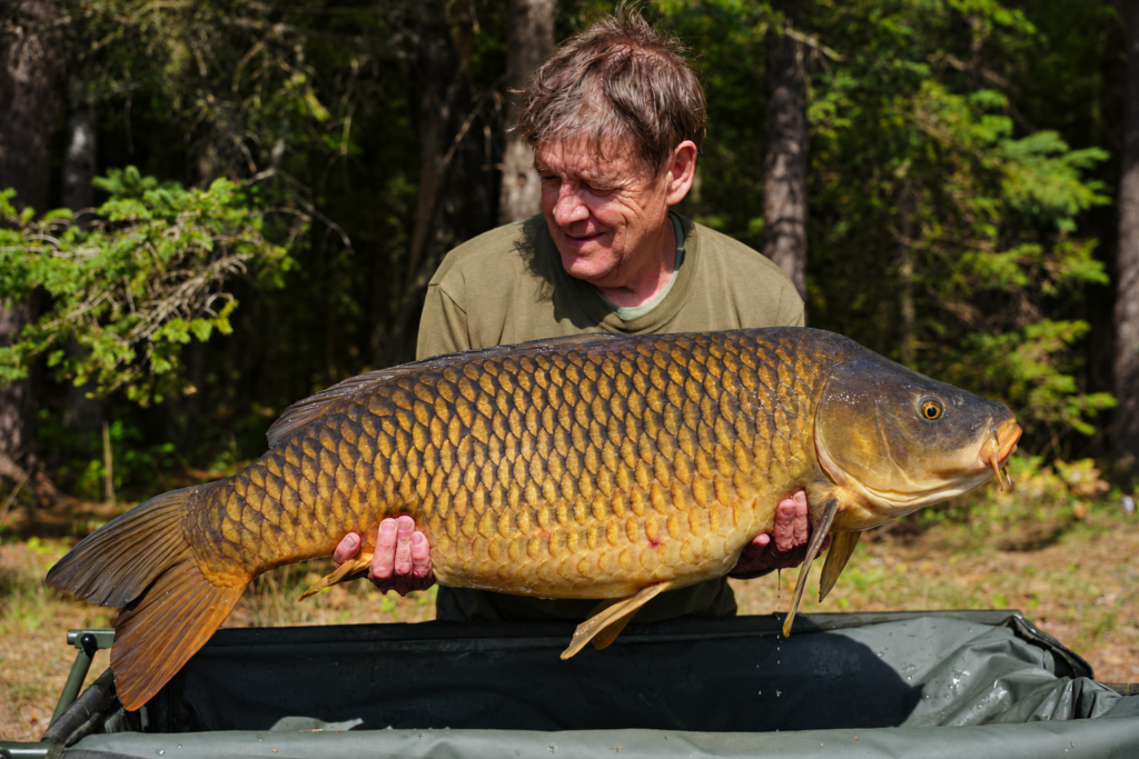 Robert Hellon holding his 45 lb wild Michigan common carp personal best